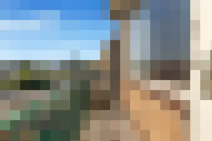 Willem de Zwijgerlaan 118 Castricum thumbnail 24