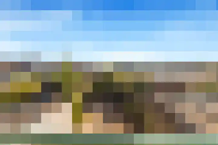 Willem de Zwijgerlaan 118 Castricum thumbnail 25