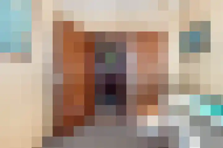 Willem de Zwijgerlaan 118 Castricum thumbnail 29