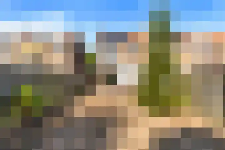 Willem de Zwijgerlaan 118 Castricum thumbnail 36