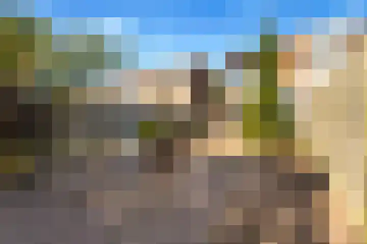 Willem de Zwijgerlaan 118 Castricum thumbnail 37