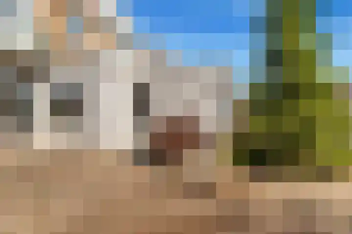 Willem de Zwijgerlaan 118 Castricum thumbnail 38
