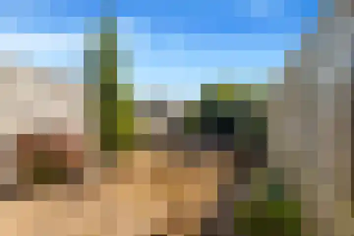Willem de Zwijgerlaan 118 Castricum thumbnail 4