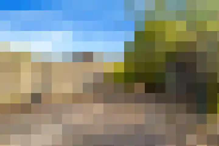 Willem de Zwijgerlaan 118 Castricum thumbnail 41