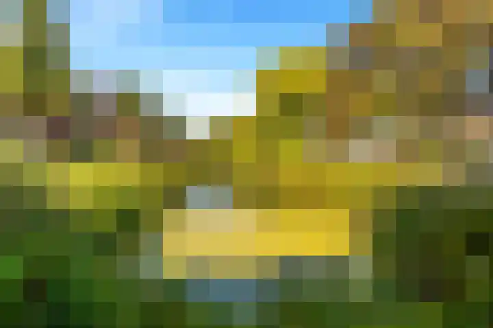 Willem de Zwijgerlaan 118 Castricum thumbnail 45