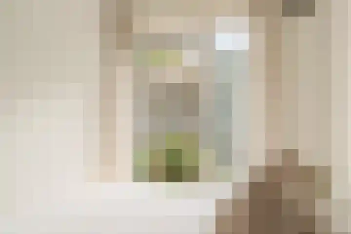 Willem de Zwijgerlaan 118 H Amsterdam thumbnail 15
