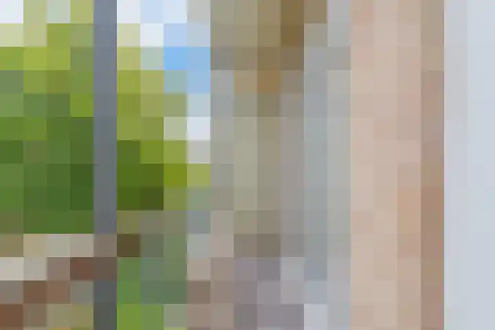 Willem de Zwijgerlaan 118 H Amsterdam thumbnail 18