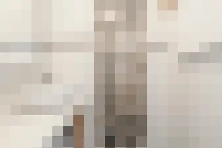 Willem de Zwijgerlaan 118 H Amsterdam thumbnail 20