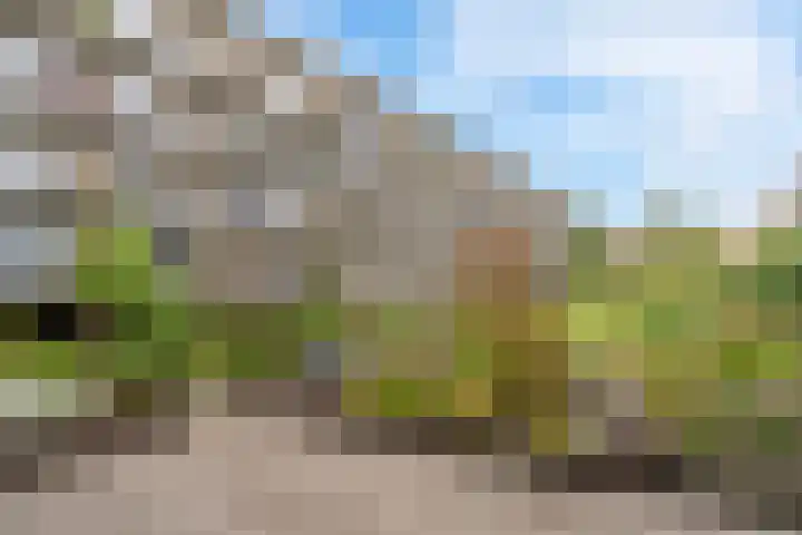 Willem de Zwijgerlaan 118 H Amsterdam thumbnail 29