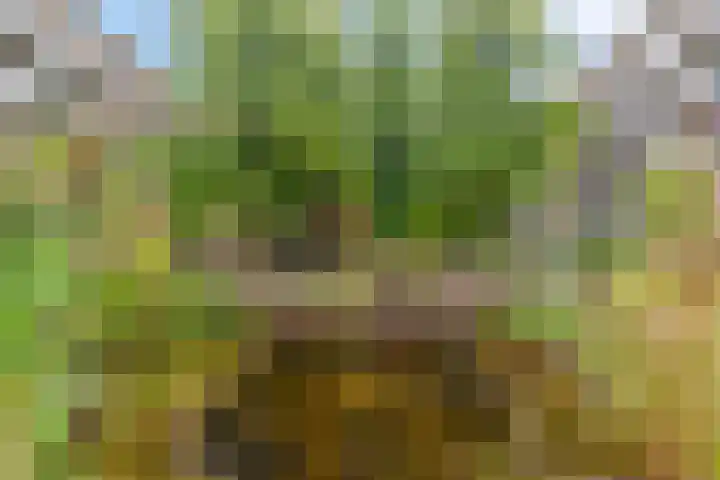 Willem de Zwijgerlaan 118 H Amsterdam thumbnail 33