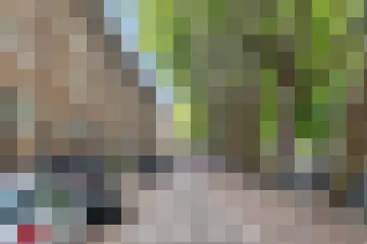Willem de Zwijgerlaan 118 H Amsterdam thumbnail 34