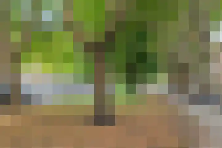 Willem de Zwijgerlaan 118 H Amsterdam thumbnail 35