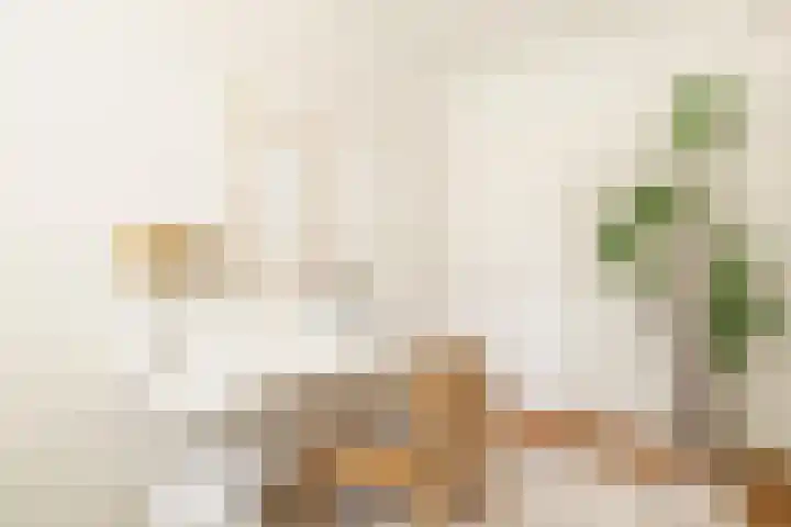 Willem de Zwijgerlaan 118 H Amsterdam thumbnail 5