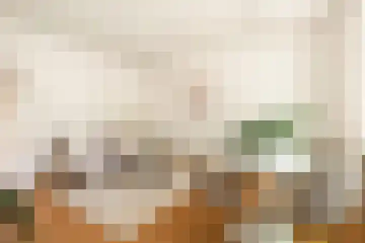 Willem de Zwijgerlaan 118 H Amsterdam thumbnail 7