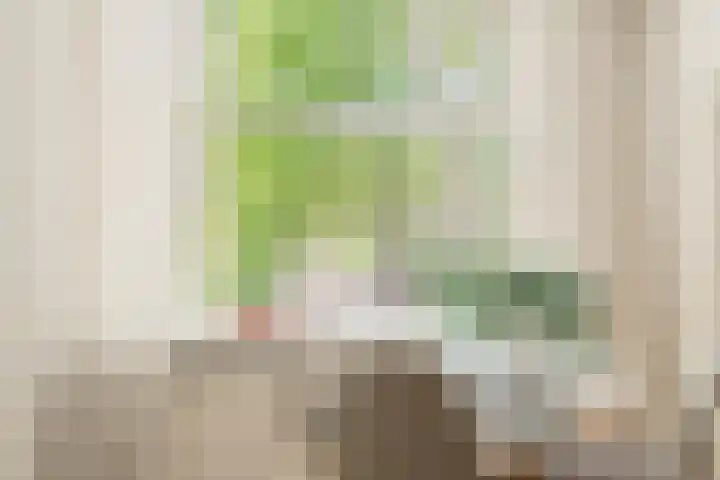 Willem de Zwijgerlaan 118 H Amsterdam thumbnail 9
