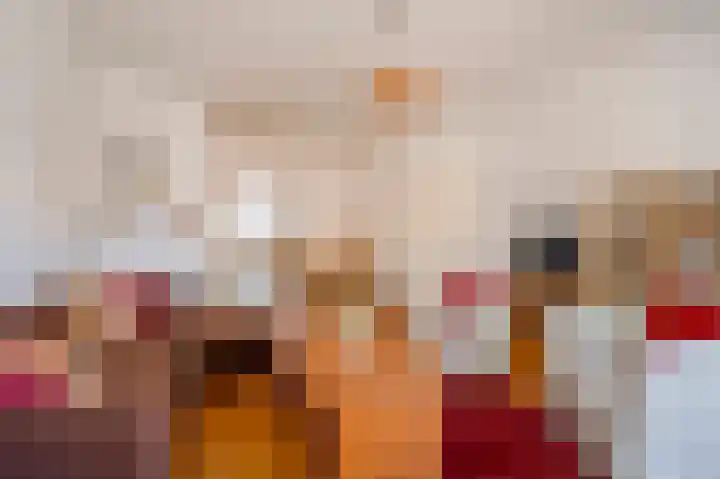 Willem de Zwijgerlaan 12 A Den Haag thumbnail 10