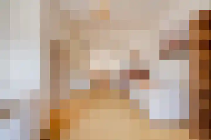 Willem de Zwijgerlaan 12 A Den Haag thumbnail 16