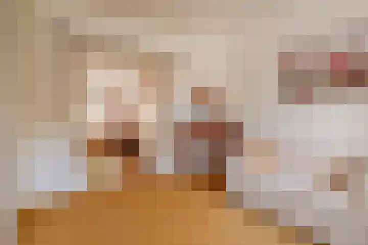 Willem de Zwijgerlaan 12 A Den Haag thumbnail 17