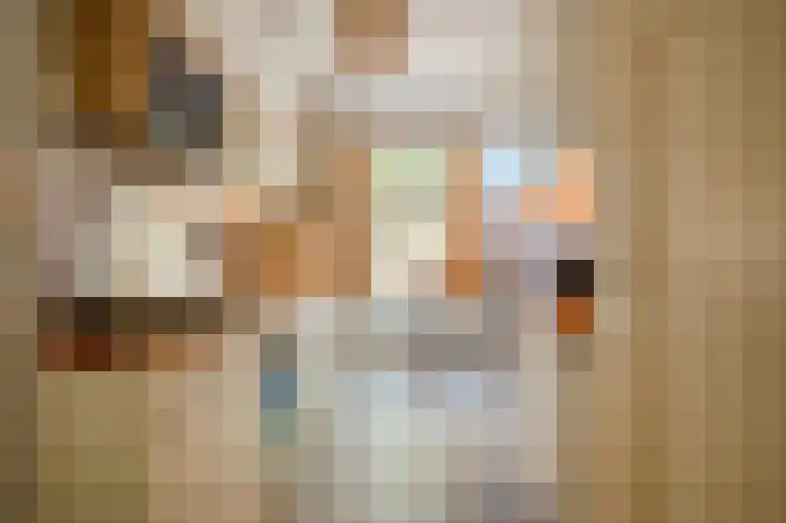 Willem de Zwijgerlaan 12 A Den Haag thumbnail 18