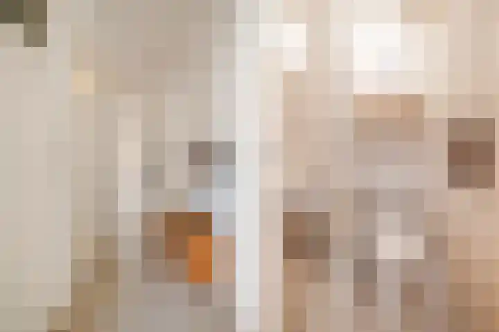 Willem de Zwijgerlaan 12 A Den Haag thumbnail 22