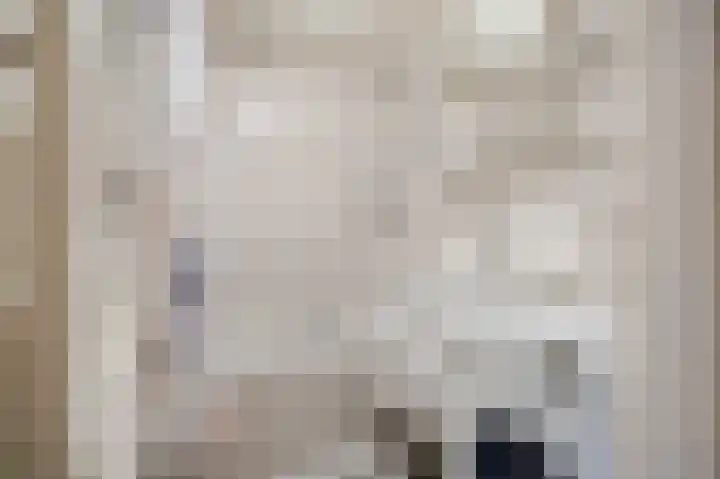 Willem de Zwijgerlaan 12 A Den Haag thumbnail 23