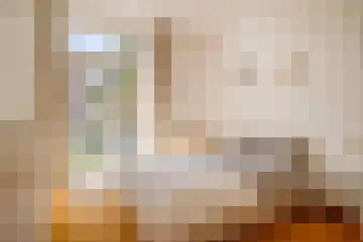 Willem de Zwijgerlaan 12 A Den Haag thumbnail 24