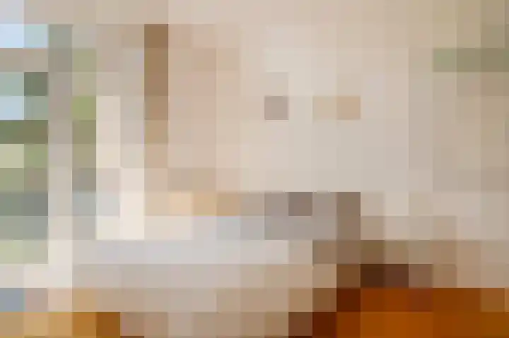 Willem de Zwijgerlaan 12 A Den Haag thumbnail 25