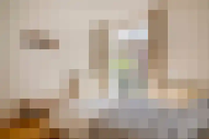 Willem de Zwijgerlaan 12 A Den Haag thumbnail 26