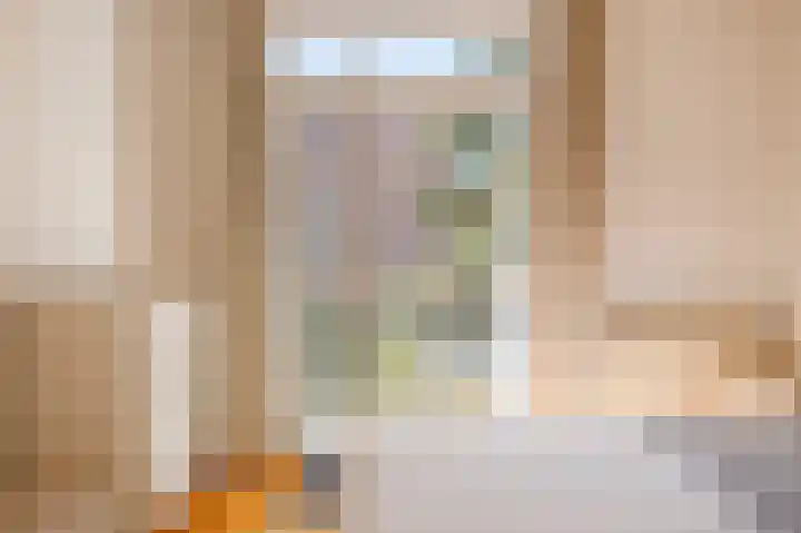 Willem de Zwijgerlaan 12 A Den Haag thumbnail 28