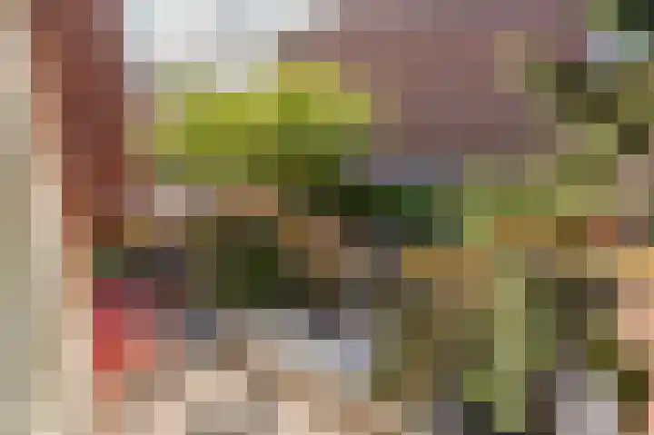 Willem de Zwijgerlaan 12 A Den Haag thumbnail 31