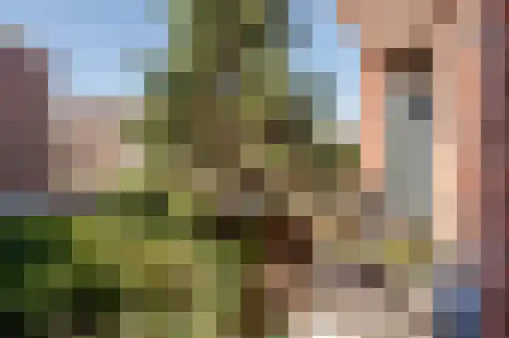 Willem de Zwijgerlaan 12 A Den Haag thumbnail 32