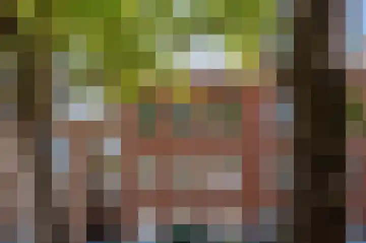 Willem de Zwijgerlaan 12 A Den Haag thumbnail 33