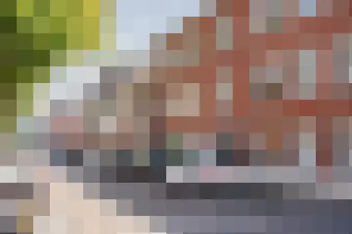 Willem de Zwijgerlaan 12 A Den Haag thumbnail 34