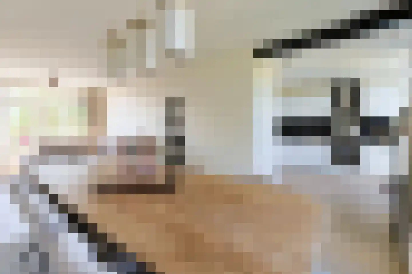 Willem de Zwijgerlaan 12 Alphen aan den Rijn thumbnail 18