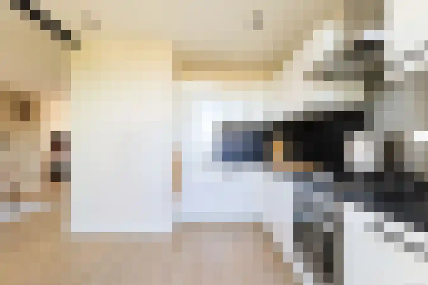 Willem de Zwijgerlaan 12 Alphen aan den Rijn thumbnail 21