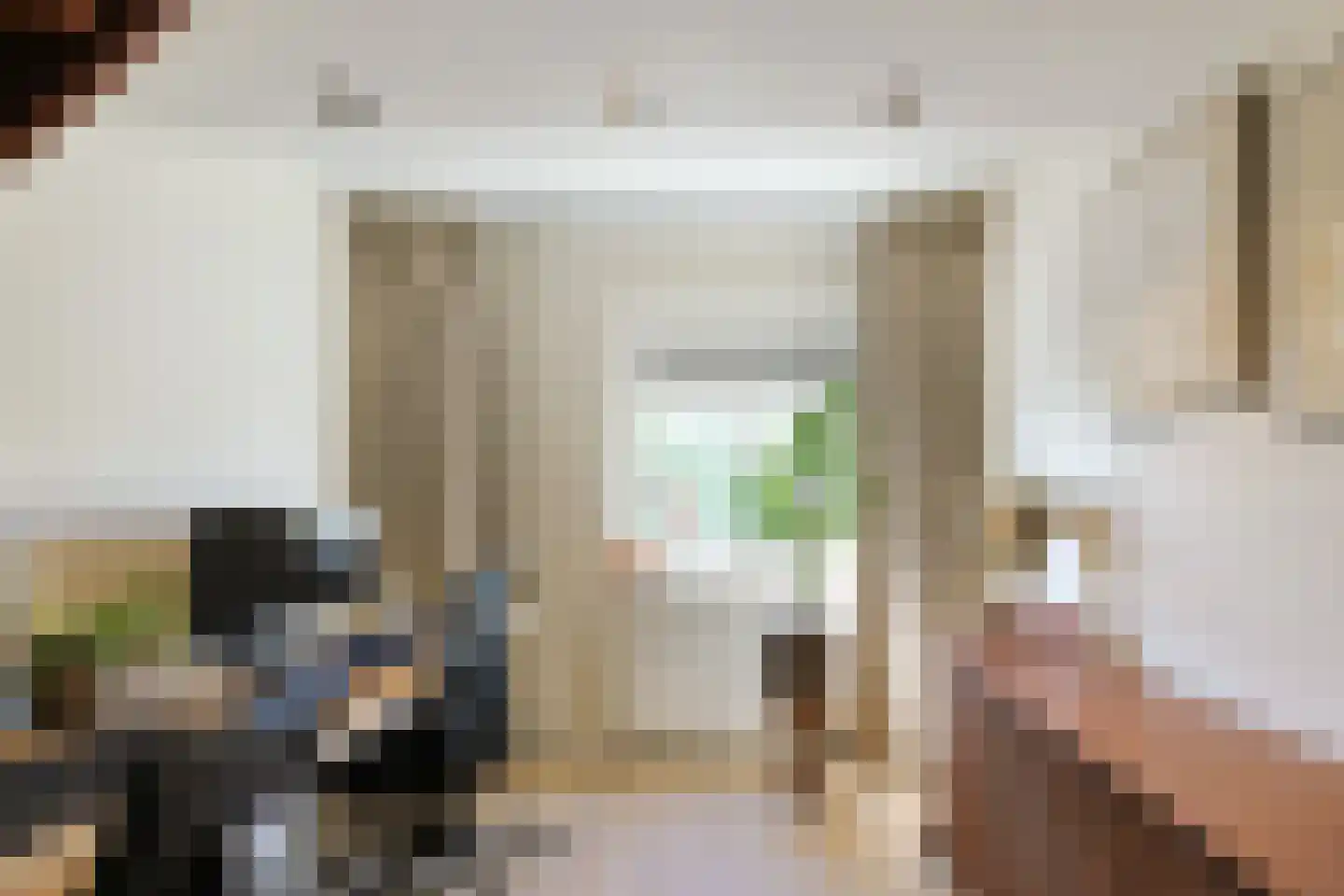 Willem de Zwijgerlaan 12 Alphen aan den Rijn thumbnail 23