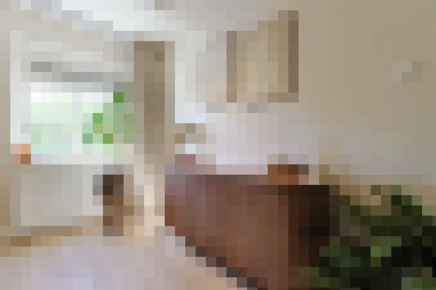 Willem de Zwijgerlaan 12 Alphen aan den Rijn thumbnail 24