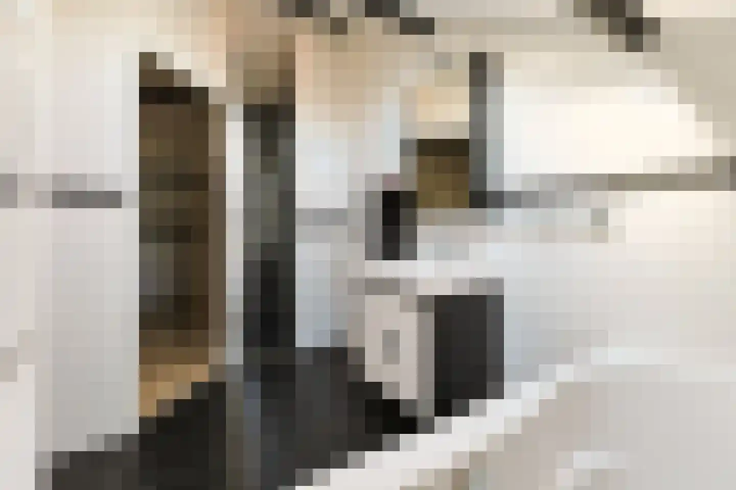 Willem de Zwijgerlaan 12 Alphen aan den Rijn thumbnail 32