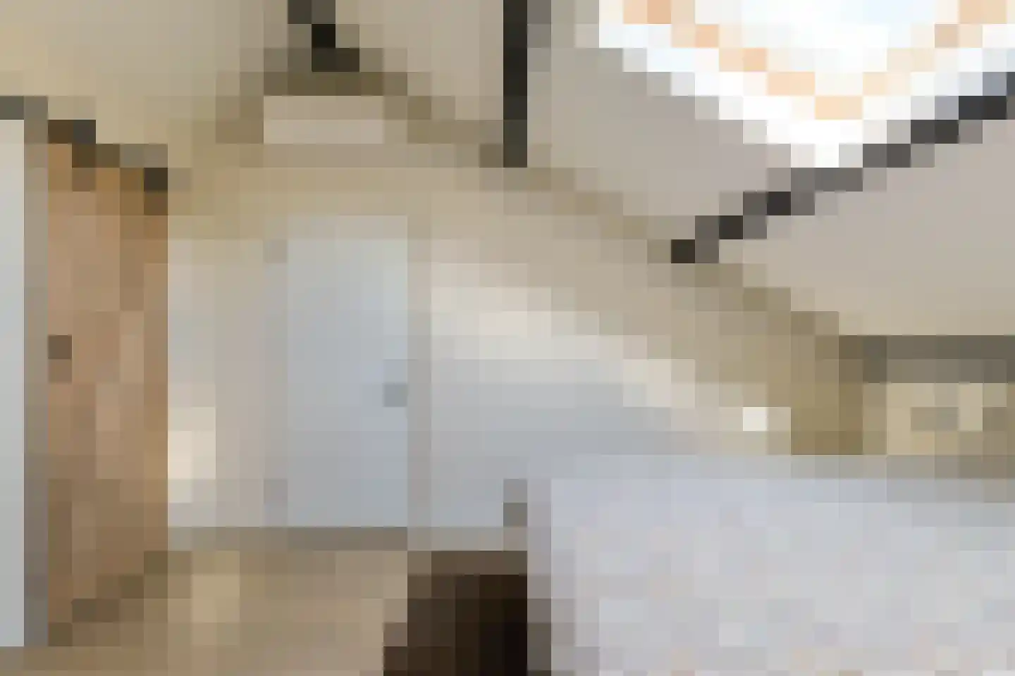 Willem de Zwijgerlaan 12 Alphen aan den Rijn thumbnail 35