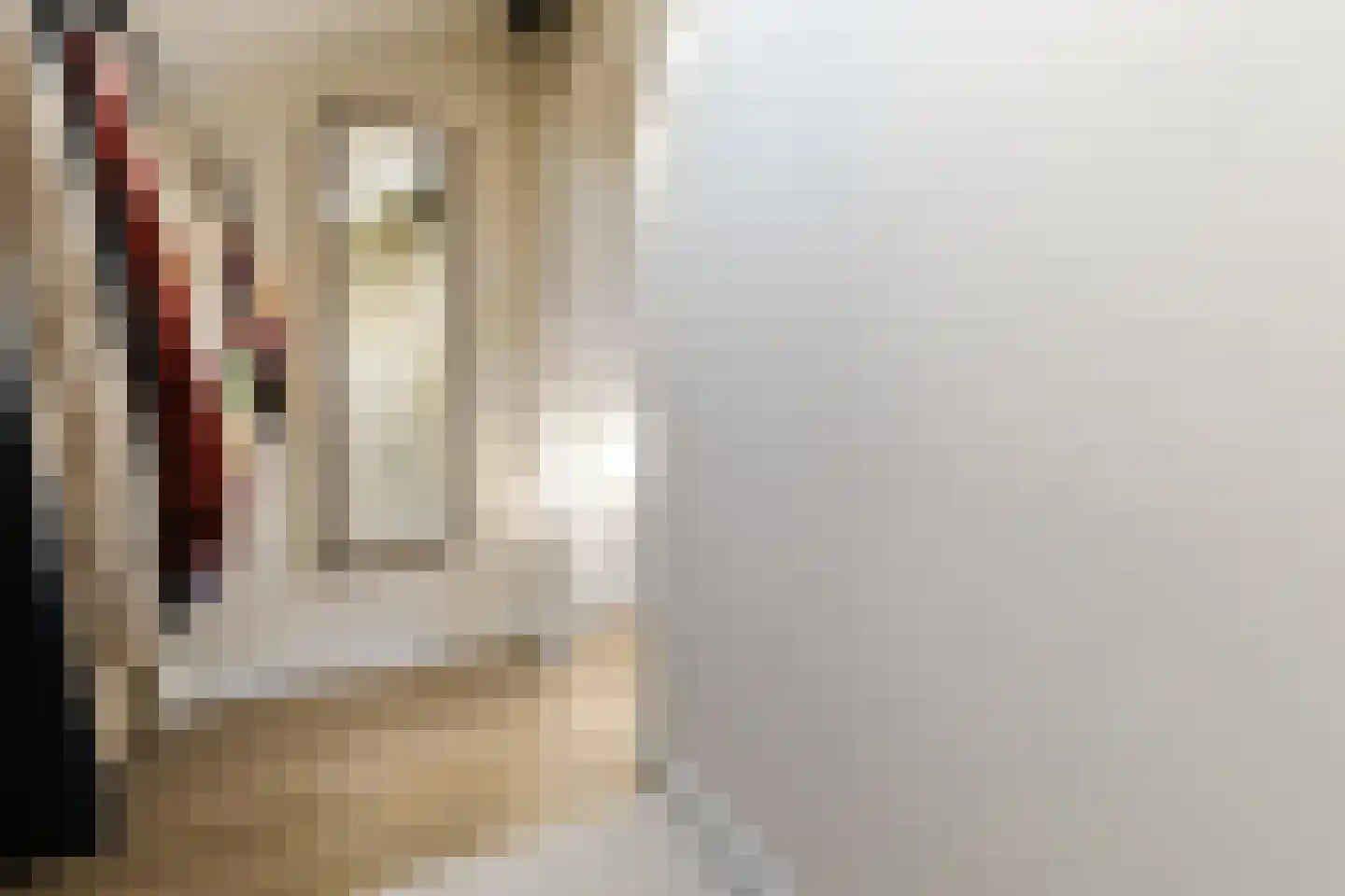 Willem de Zwijgerlaan 12 Alphen aan den Rijn thumbnail 38