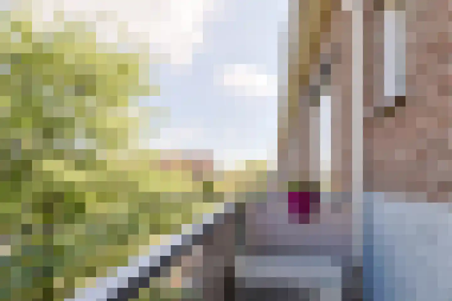 Willem de Zwijgerlaan 12 Alphen aan den Rijn thumbnail 41