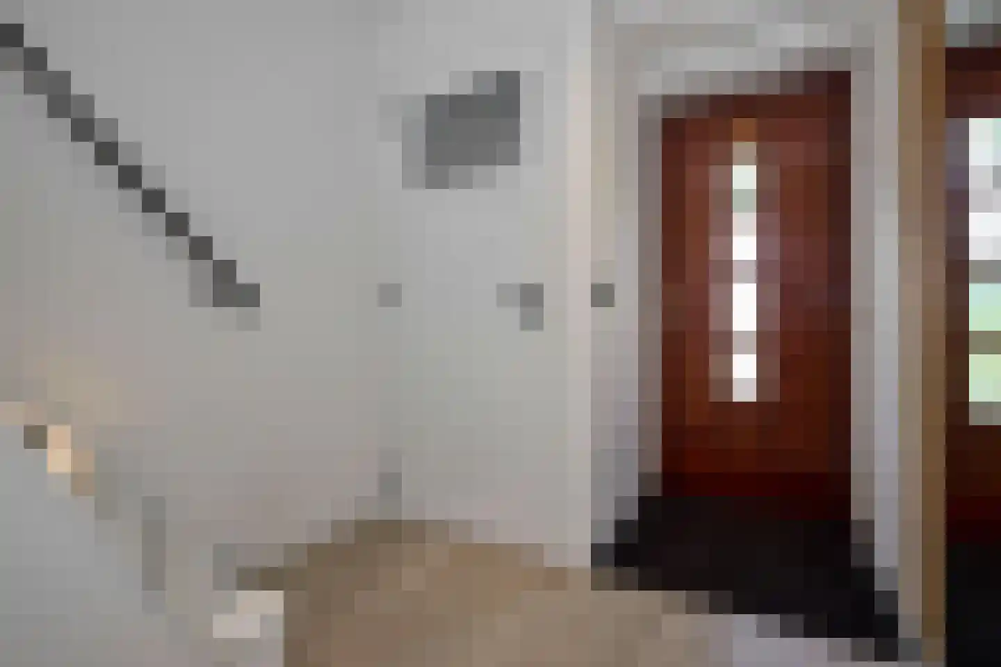 Willem de Zwijgerlaan 12 Sassenheim thumbnail 10