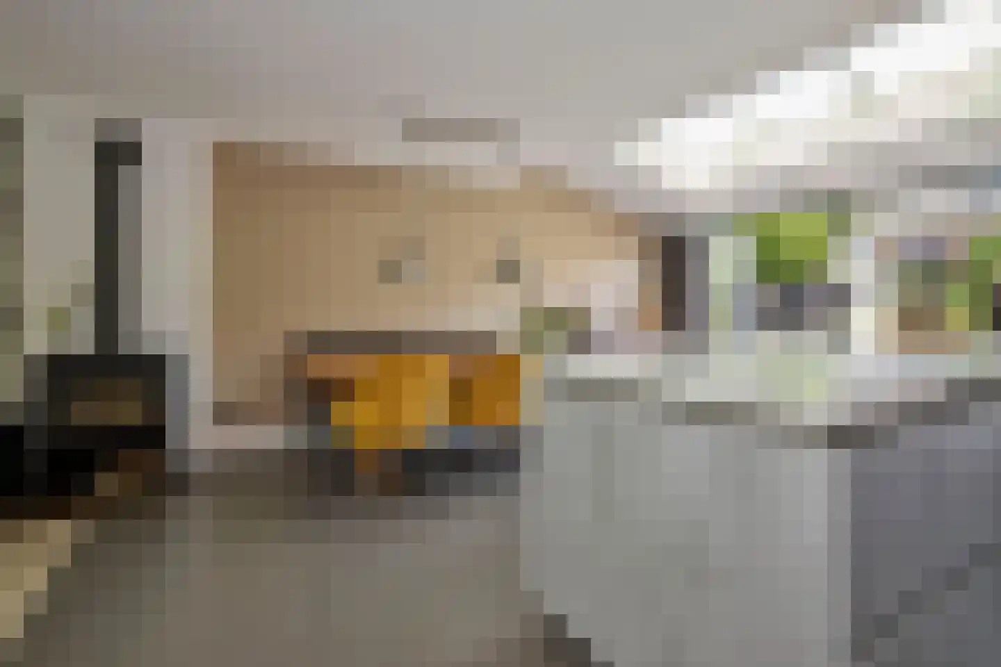 Willem de Zwijgerlaan 12 Sassenheim thumbnail 18