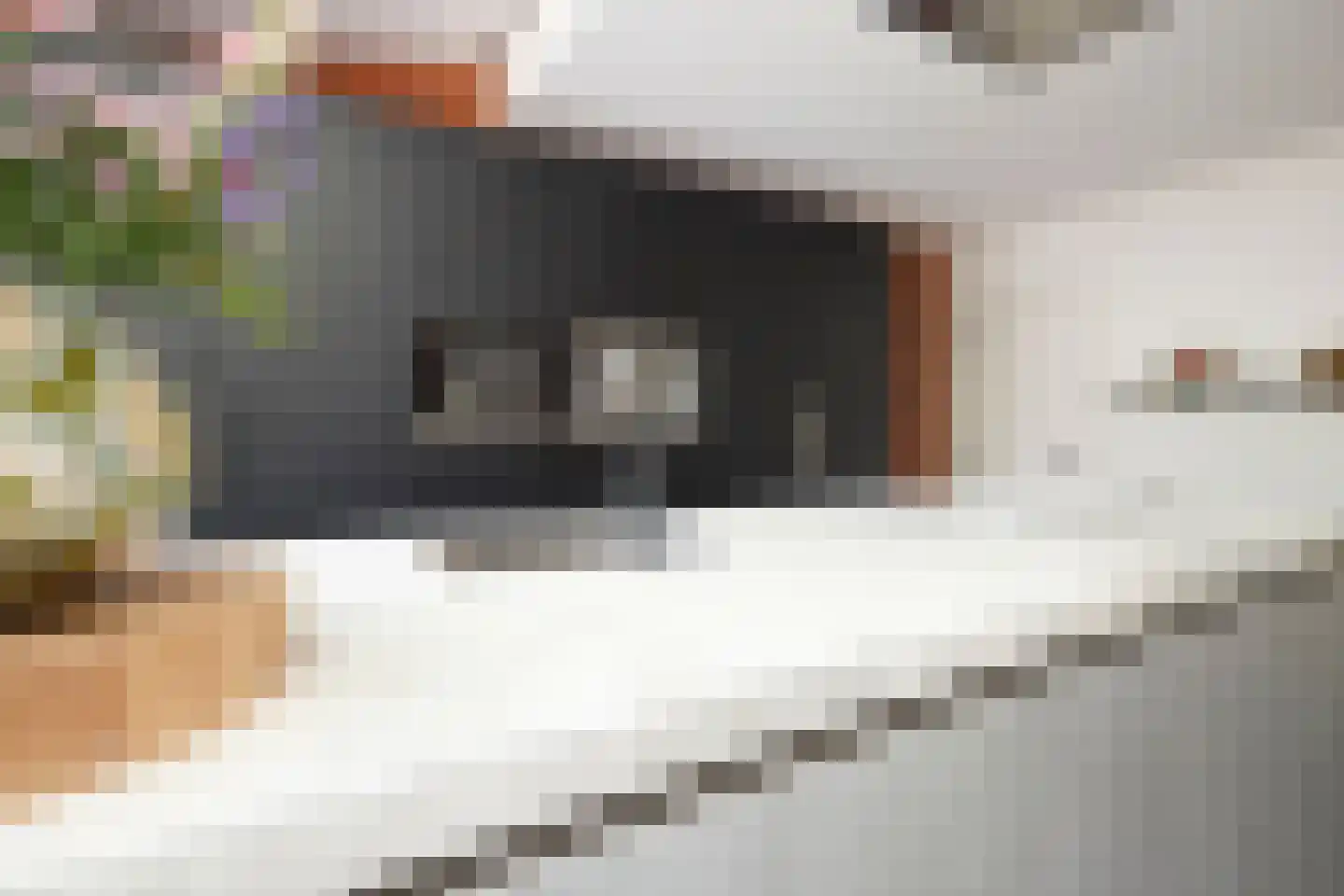 Willem de Zwijgerlaan 12 Sassenheim thumbnail 21