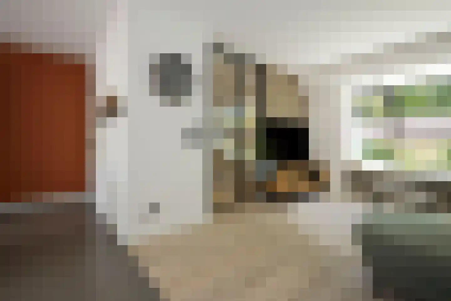 Willem de Zwijgerlaan 12 Sassenheim thumbnail 26