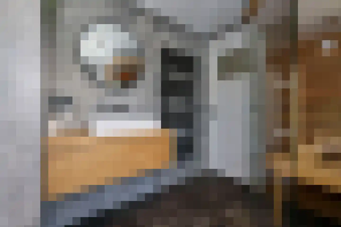 Willem de Zwijgerlaan 12 Sassenheim thumbnail 35