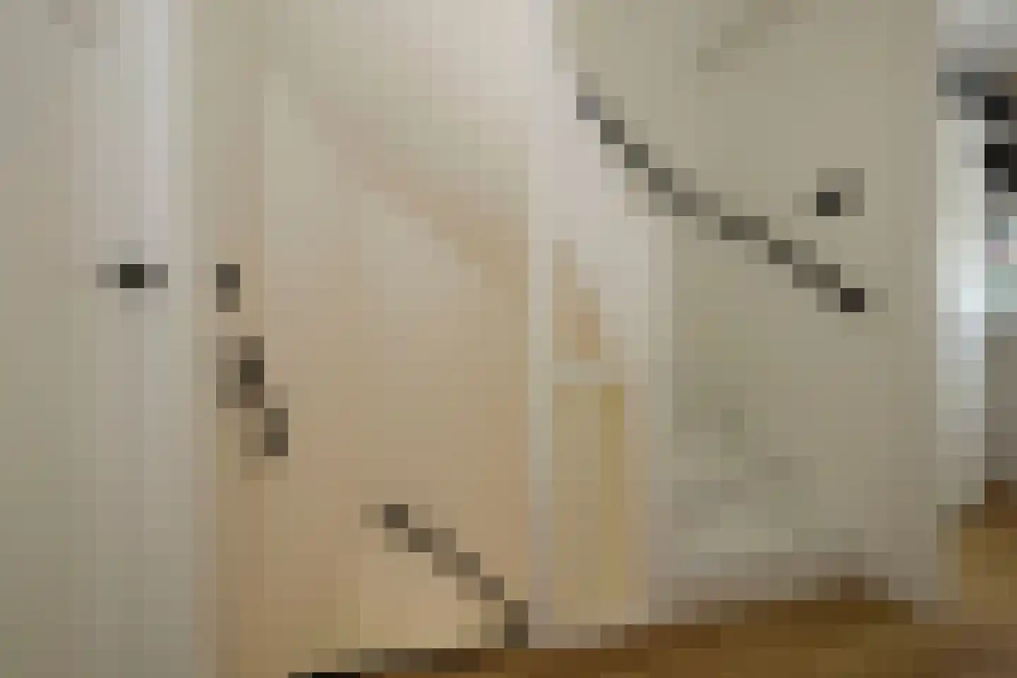Willem de Zwijgerlaan 12 Sassenheim thumbnail 39