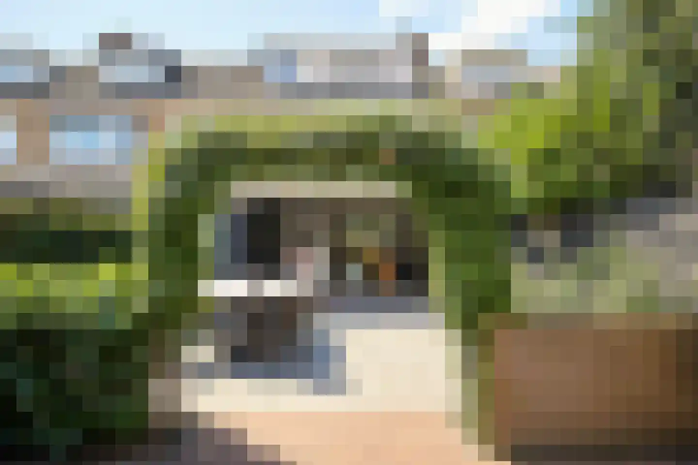 Willem de Zwijgerlaan 12 Sassenheim thumbnail 5