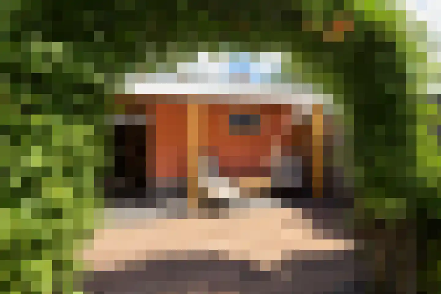 Willem de Zwijgerlaan 12 Sassenheim thumbnail 53