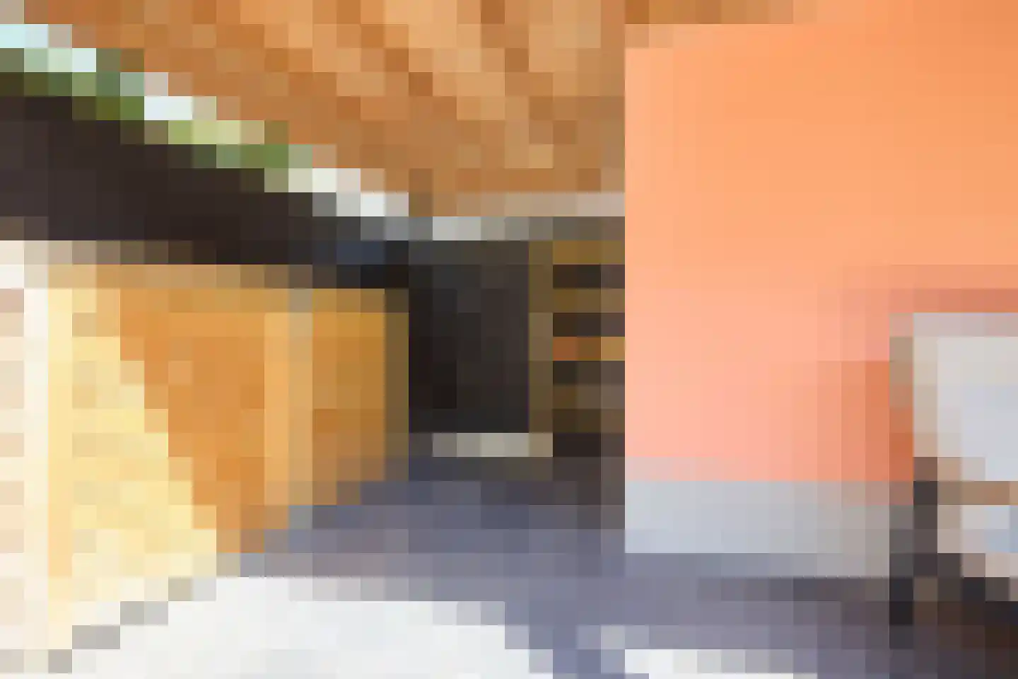 Willem de Zwijgerlaan 12 Sassenheim thumbnail 55